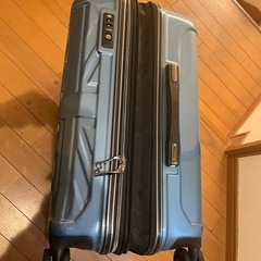 キャリーバッグの画像