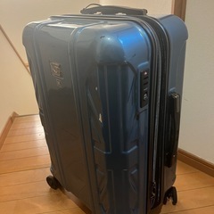 キャリーバッグの画像