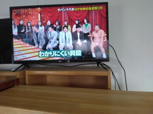 新品：１９インチ液晶カラーテレビ＝画像鮮明：独身者：向き最適優良品