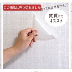ペット、子供落書き壁保護シートの画像