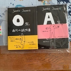 決まりました！