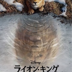 ライオンキング　ムファサを一緒に見に行ける人募集します！