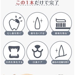 PAL&I ペット 歯磨き ペースト 30g 2点セット チキン味 犬 猫 用の画像