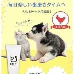 PAL&I ペット 歯磨き ペースト 30g 2点セット チキン味 犬 猫 用の画像