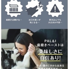 PAL&I ペット 歯磨き ペースト 30g 2点セット チキン味 犬 猫 用の画像