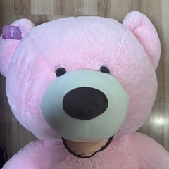 HYAKURIぬいぐるみ 特大 くま/テディベア　150㎝の画像
