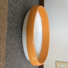 仔猫用トイレの画像