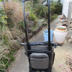 ショッピングカート　手押し車　片手用　　美品　②