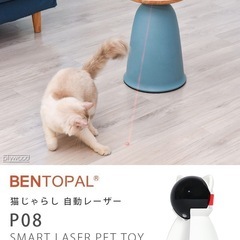 猫　おもちゃ　レーザーポインターの画像
