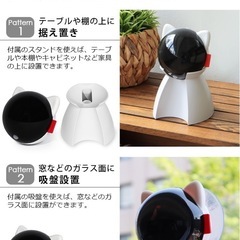 猫　おもちゃ　レーザーポインターの画像