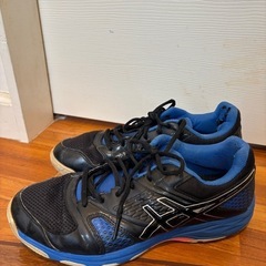 asics ハンドボールシューズ　
26.0