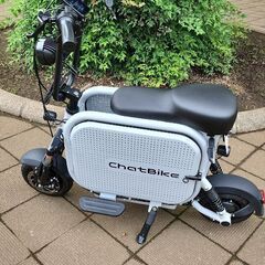特定小型原付自転車