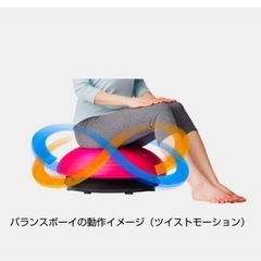 THRIVE バランスボーイ　フィットネス　健康器具の画像