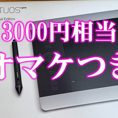 3000円相当のおまけつき【美品☆絵を描きたい人に！】ペン…