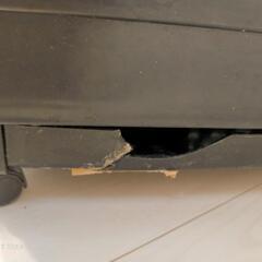 マルカン　クリアケージM　小動物　ゲージ　檻　飼育ケースの画像