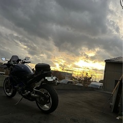 真夏と真冬は乗らない置物ww