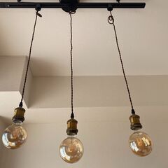 ペンダントライト（LED電球、レール付き）の画像