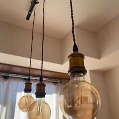 ペンダントライト（LED電球、レール付き）の画像