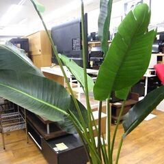 フェイクグリーン オーガスタ 高さ約190㎝ 人工観葉植物 造花 大型 フェイク 観葉植物 札幌市厚別区 厚別店の画像