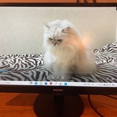 終了　PHILIPS モニター　243V5q