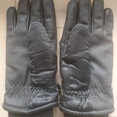 スキー グローブ フリーサイズの画像