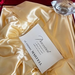 マーテル MARTELL エクストラバカラブランデーコニ ヤックの画像