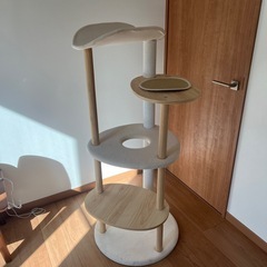 キャットタワー