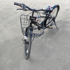 スプレンディッド子供向け24インチの画像