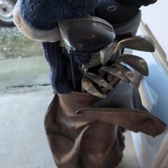 ゴルフ クラブセットの画像