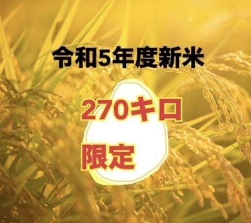 フォロワーさん限定　【最終追加分】新米30キロ 単位　（玄米）　