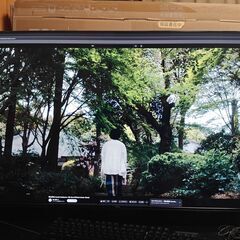 TCL 43V型 4K 液晶テレビ Wチューナー スマートテレビ...
