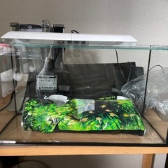 水槽