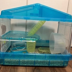ハムスター飼育セット、ケージ