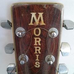 0113-232 Morris モーリス アコースティックギター W-40の画像