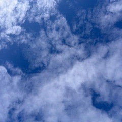 無職の方と仲良くなりたいです！