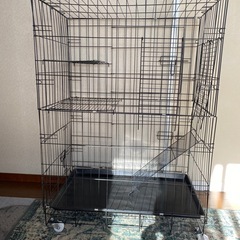 猫ゲージ　
黒 