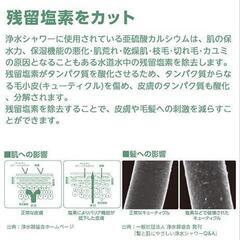 ニトリ　浄水シャワーヘッドの画像