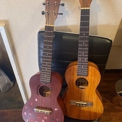 ウクレレ2本セット