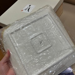お皿　高島礼子　瓜の画像