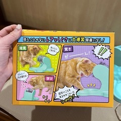猫　遊び道具　でるでる自販機の画像