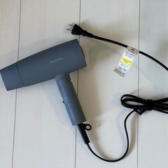 SALONIA ドライヤー グレー スピーディーイオンドライヤ 