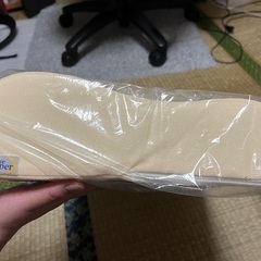 トゥルースリーパーピロー2個の画像
