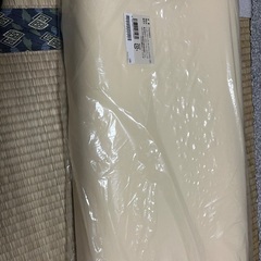 トゥルースリーパーピロー2個の画像