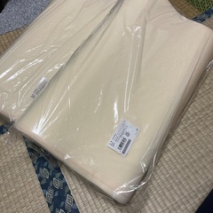 トゥルースリーパーピロー2個の画像