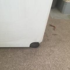 大きなゴミ箱★3個まとめての画像