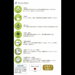 ［新品］ｳｰﾙﾗｸﾞ190×190 定価26,800円の画像