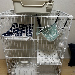 キャットケージ