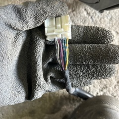 フィットミラーの画像