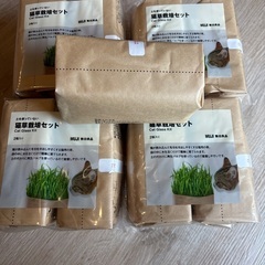 猫草栽培セット　17個の画像