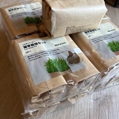 猫草栽培セット　17個の画像
